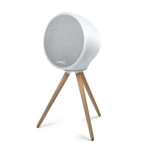 Muse ML-655 BT – Enceinte Bluetooth 100 W Nomade avec LED d’Ambiance