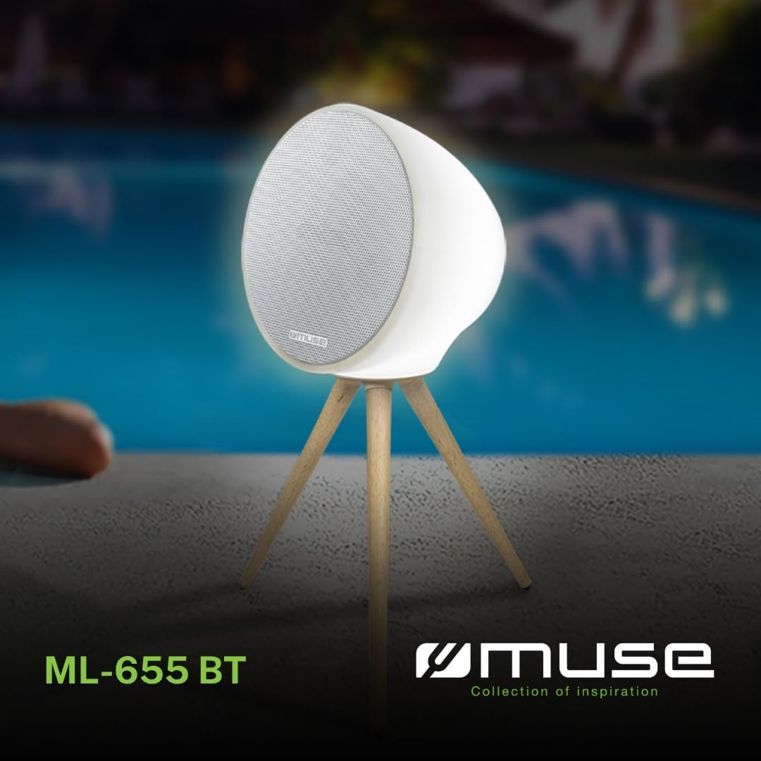 Muse ML-655 BT – Enceinte Bluetooth 100 W Nomade avec LED d’Ambiance