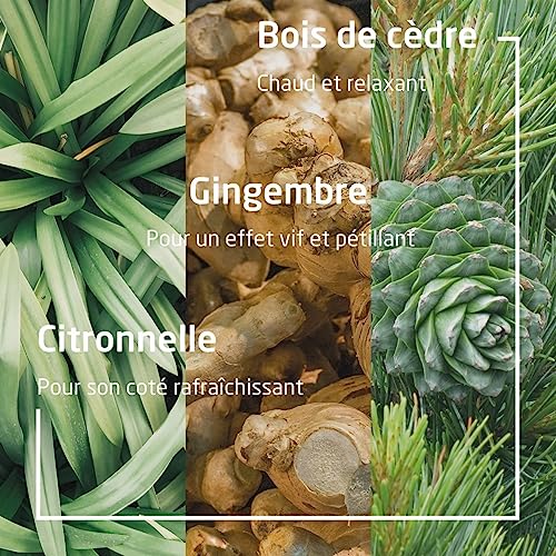 Weleda – Aroma Shower Energy Gel Douche Dynamisant (400 ml)